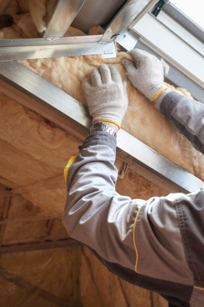 Best Residential Insulation in Ladoga, IN